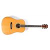 Image 1 : MTV Unplugged Limited Edition Guitar
