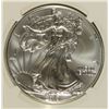 Image 2 : 2013 (W) SILVER AMERICAN EAGLE NGC MS-69