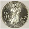 Image 1 : 1999 SILVER AMERICAN EAGLE