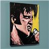 Image 1 : Elvis Presley (68 Special) by  David Garibaldi