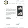 Image 3 : 14KT Yellow Gold 1.99ctw Diamond Ring