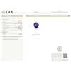 Image 6 : 14KT White Gold GIA Certified 16.01ct Tanzanite and Diamond Pendant With Chain