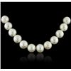 Image 2 : 14KT White Gold Pearl Necklace