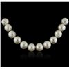 Image 2 : 14KT White Gold Pearl Necklace