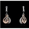 Image 1 : 14KT Two-Tone Gold 0.53ctw Diamond Earrings