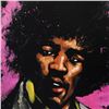 Image 2 : Jimi Hendrix (Purple Haze) by  David Garibaldi