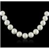 Image 2 : 14KT White Gold Pearl Necklace