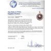Image 3 : SILVER 34.00ct Star Ruby and White Sapphire Pendant