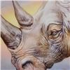 Image 2 : White Rhino by  Martin Katon