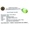 Image 2 : 9.29ctw. Oval Cut Paraiba Tourmaline