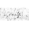 Image 1 : WILLIAM N. PENDLETON: (1809 - 1883) Confederate brigadier general and Episcopal minister, Lee's C...