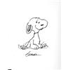 Image 1 : CHARLES M. SCHULZ: (1922 - 2000) American cartoonist and creator of Snoopy, Charlie Brown, and th...