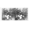 Image 1 : (GETTYSBURG STEREOVIEW): War-date stereoview card bearing a double 6" x 3" photograph being a vie...
