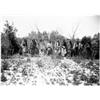 Image 1 : (GROUP OF AMERICANIZED INDIANS): A great post-1900 photograph, 7 1/2" x 4 1/2" mounted to a heavy...