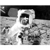 Image 1 : (APOLLO 12): Excellent S.P. 10" x 8" b/w, a terrific shot of an astronaut standing upon the moon...