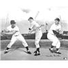 Image 1 : (BASEBALL GREATS): A great item for display, a fine color poster measuring 20" X 15", showing WIL...