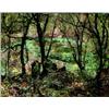Image 1 : Addison Winchell Price 1907-1970 OSA, ARCA Spring's Awakening Oil on canvas Signed 20...
