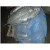Image 2 : Skid with Tarps, misc