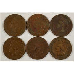(6) 1879 INDIAN HEAD CENTS