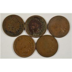 (5) 1880 INDIAN HEAD CENTS