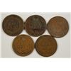 Image 2 : (5) 1880 INDIAN HEAD CENTS