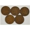 Image 1 : (5) 1909 INDIAN HEAD CENTS