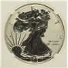 Image 2 : 2012-S AMERICAN SILVER EAGLE REVERSE PROOF, NGC  PROOF-69 TROLLEY LABEL