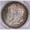 Image 2 : 1884-O MORGAN SILVER DOLLAR, PCGS MS-63  RIM COLOR