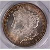 Image 2 : 1885-O MORGAN SILVER DOLLAR, PCGS MS-64  SUPERB COLORS!