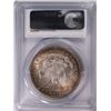 Image 4 : 1896 MORGAN SILVER DOLLAR, PCGS MS-63  COLOR!