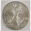 Image 1 : 2007 SILVER AMERICAN EAGLE