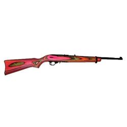 _NEW!_ RUGER 10/22 STANDARD CARBINE 22 LR 736676012220