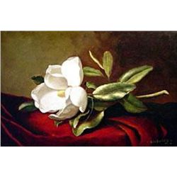 (ART) "A Magnolia On Red Velvet" - Martin Johnson Heade (L2112HEA-20) (55-DR605)