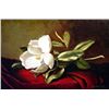 Image 1 : (ART) "A Magnolia On Red Velvet" - Martin Johnson Heade (L2112HEA-20) (55-DR605)