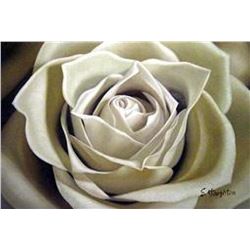 (ART) "A White Sepia Rose" - Original Painting (FL7024-36)