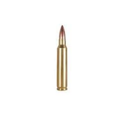 (AMMO) ARMSCOR 223REM 55GR PSP (200 ROUNDS) 812285021898