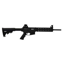 _NEW!_ S&W 811030 M&P15-22 Standard SA 22LR 16" 25+1 6-Pos Stk Black 022188139358