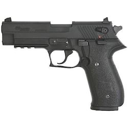 !NEW! SIG SAUER MOSQUITO 22 LR 798681303496