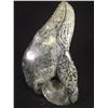 Image 3 : AURELIO (WHITEWOLF) SOAPSTONE HUMPBACK WHALE CARVING 13" L X 7.5" H