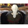 Image 3 : RICK CRANSTON, "WILDMAN" WITH SKULL CARVED FROM ALDER 16" H X 12" W