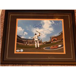 Cal Ripken Jr Signed Framed 11x14 Photo PSA World of Sports