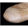 Image 5 : Large Sperm Whale tooth.(Size: See last photo for
