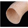 Image 3 : Rare and unique curved Whale Tooth.  (Size: See last