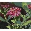 Image 1 : edith grace coombs osa, csga, PEONIES., Watercolour and pencil., 17.8 x 20.8 cm. (7 x 8 in.)....