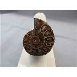 Huge! Custom made Ammonite fossil ring