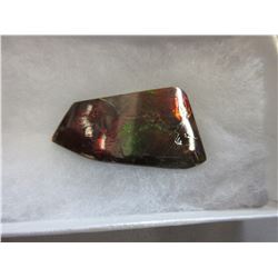33 CT Canadian Free Form  Ammolite Gemstone