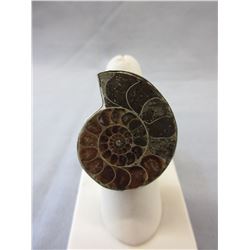 Custom made Ammonite ring