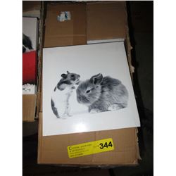 Case of 8" x 8" canvas wall art - baby animal