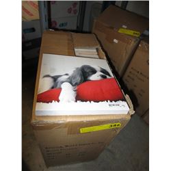 Case of 8" x 8" canvas wall art - baby animal