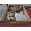 Image 1 : Rock & fossil samples
